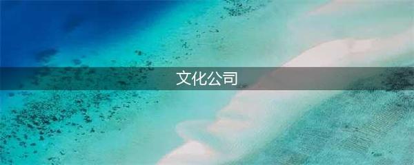 文化公司的经营范围有什么(文化公司)